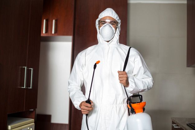 pest control hyderabad