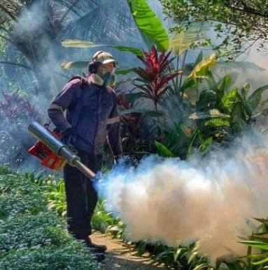 mosquito control services in Hyderabad